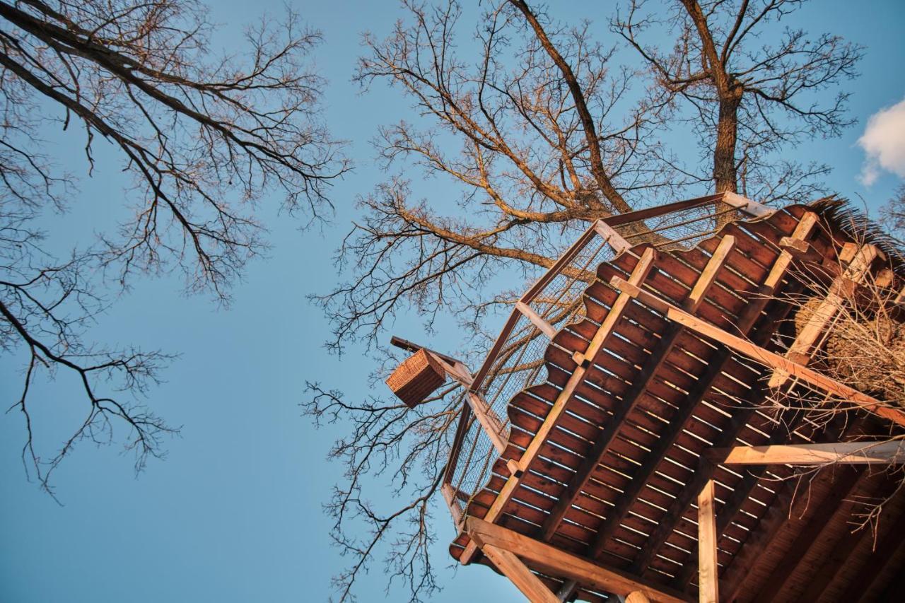 הוילה Jesenice  Treehouse Kremilek מראה חיצוני תמונה