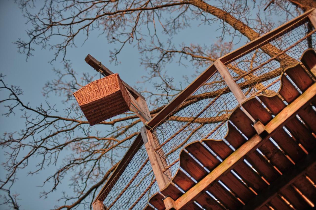 הוילה Jesenice  Treehouse Kremilek מראה חיצוני תמונה
